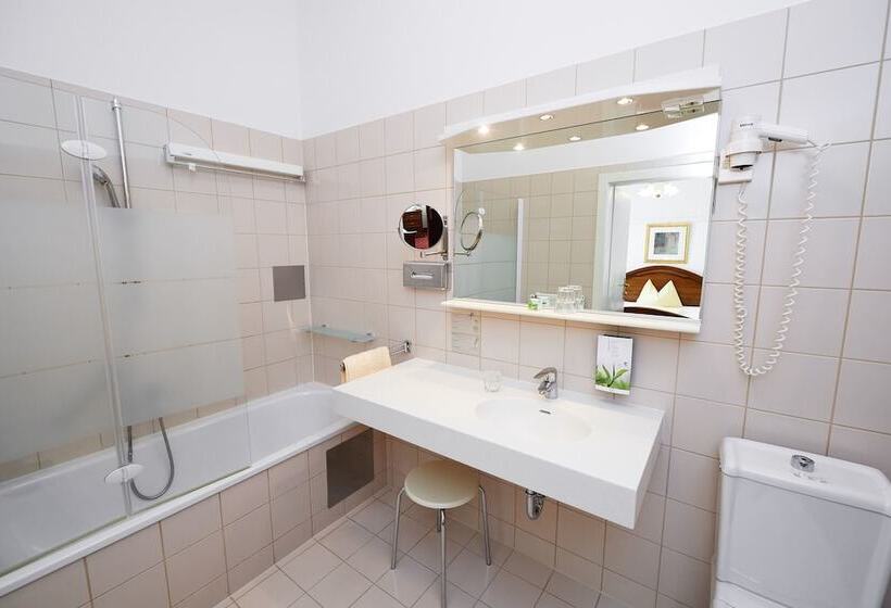 اتاق استاندارد یک نفره, Austria   Wien