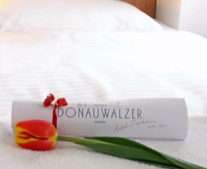 اتاق کلاسیک یک تخته, Boutiquehotel Donauwalzer