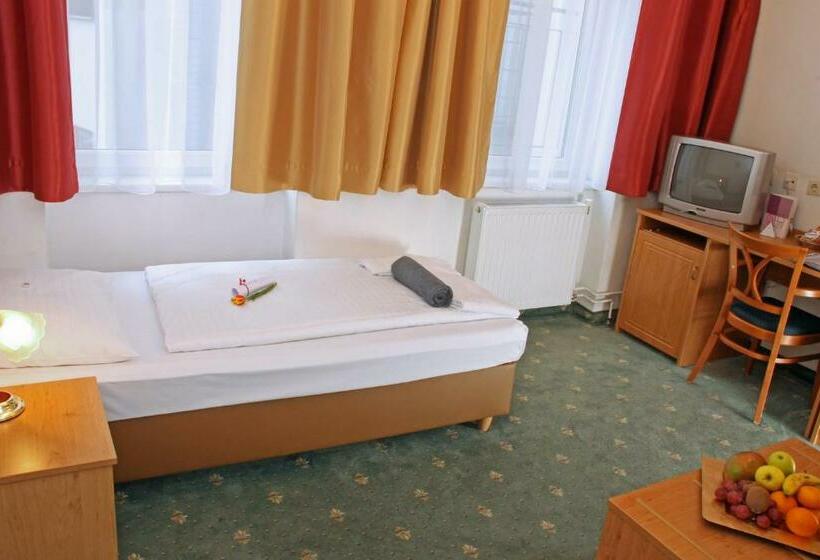 اتاق کلاسیک یک تخته, Boutiquehotel Donauwalzer