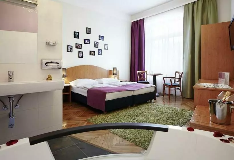 اتاق استاندارد با وان آب گرم, Boutiquehotel Donauwalzer