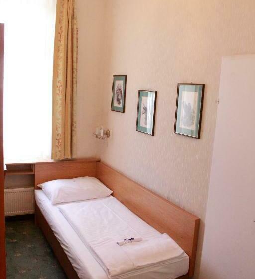 اتاق اکونومی یک تخته, Boutiquehotel Donauwalzer