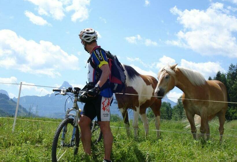 标准间, Gasthof Hensle