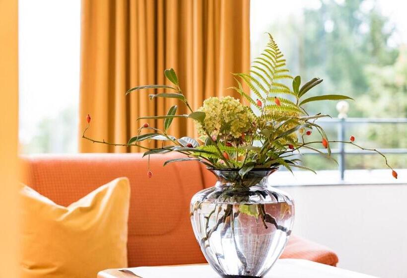 スタンダードシングルルーム, Hollweger