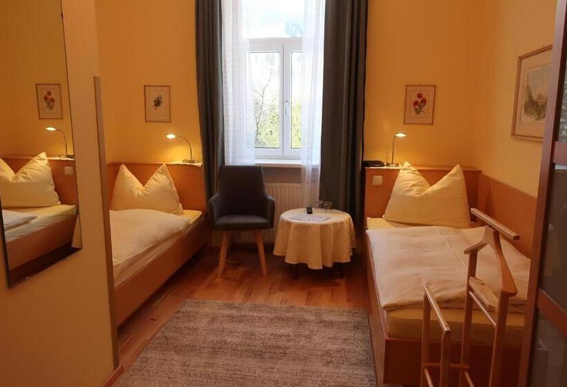이코노미 싱글 룸, Kur  Und Gästehaus Villa Anna
