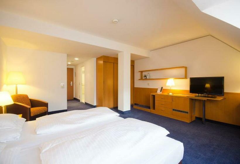 高级大房间, Strudlhof Vienna