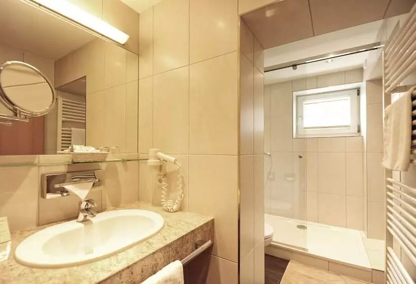 اتاق استاندارد یک نفره, Parkhotel Seefeld