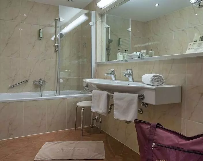 اتاق استاندارد با چشم‌انداز کوهستان, Parkhotel Seefeld