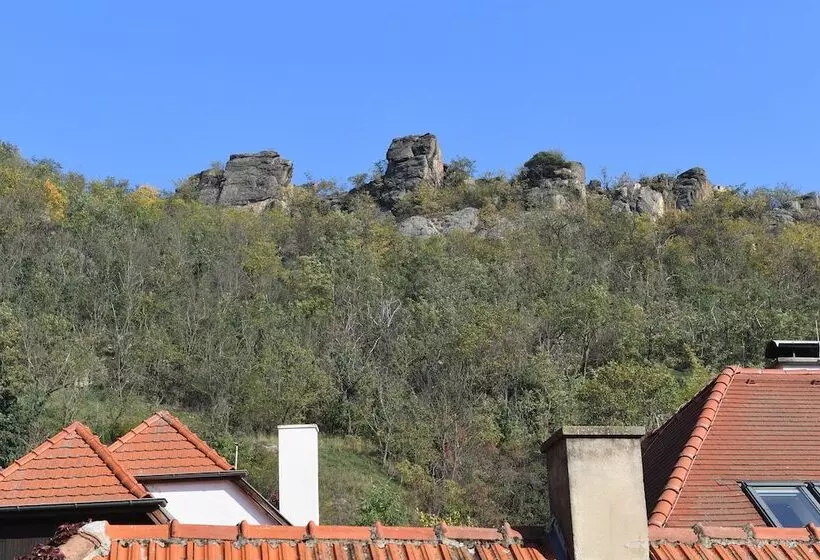 Standart Tek Kişilik Oda, Schloss Dürnstein