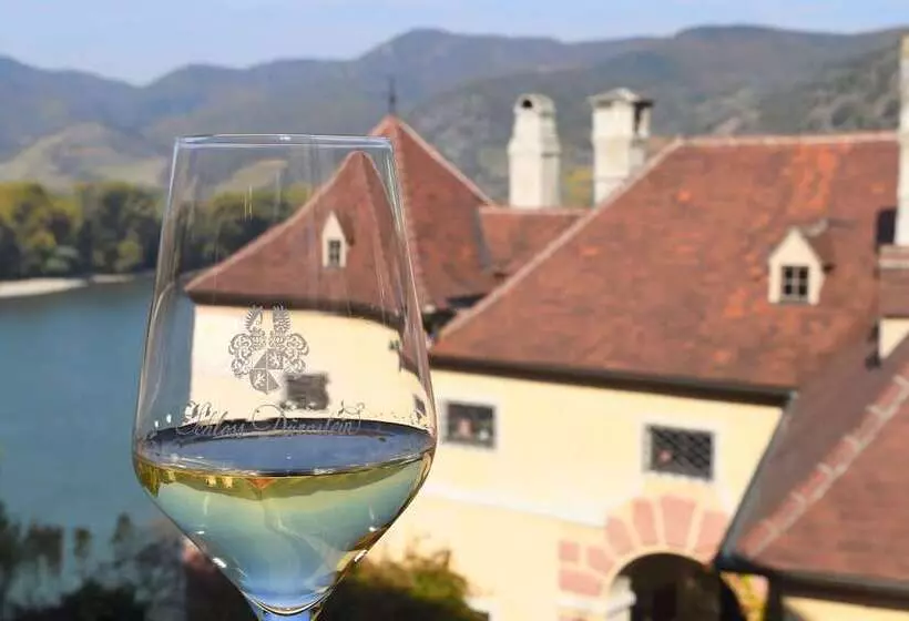 Nehir Manzaralı Lüks Oda, Schloss Dürnstein