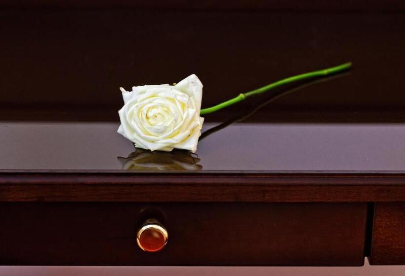 اتاق استاندارد چهار تخته, Viktoria Schonbrunn