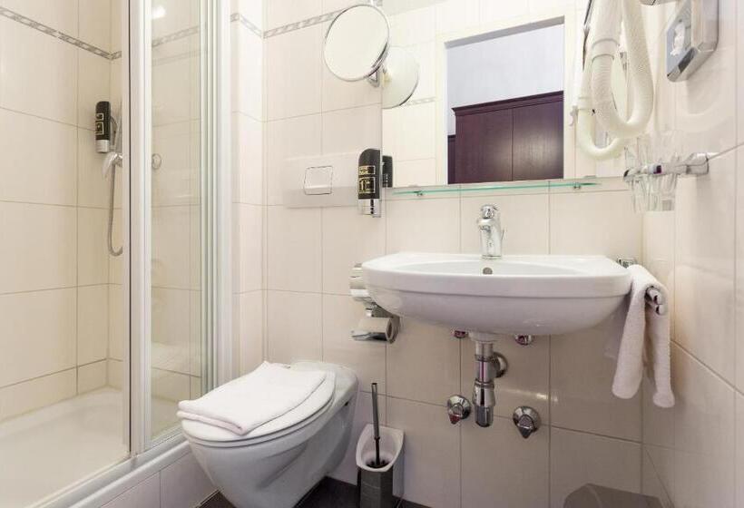 اتاق استاندارد یک نفره, Viktoria Schonbrunn