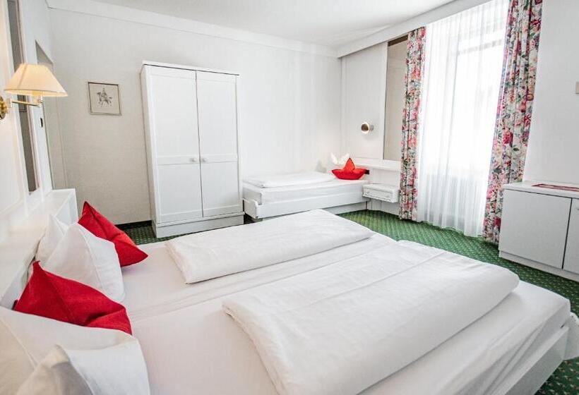 舒适三人间, Wilder Mann