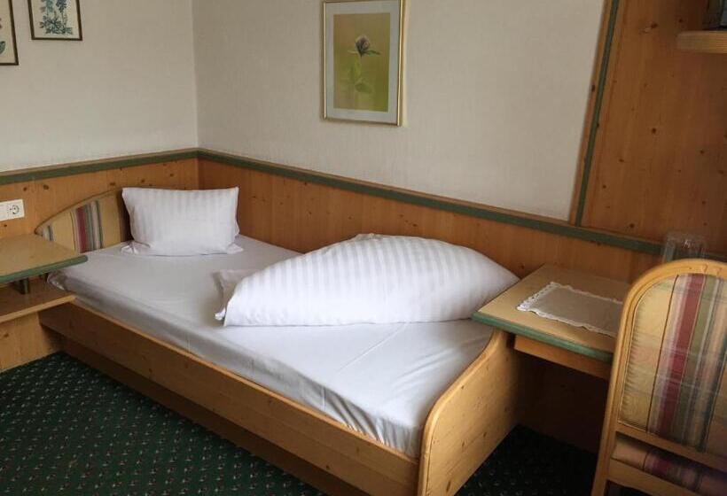 标准单人间, Wilder Mann