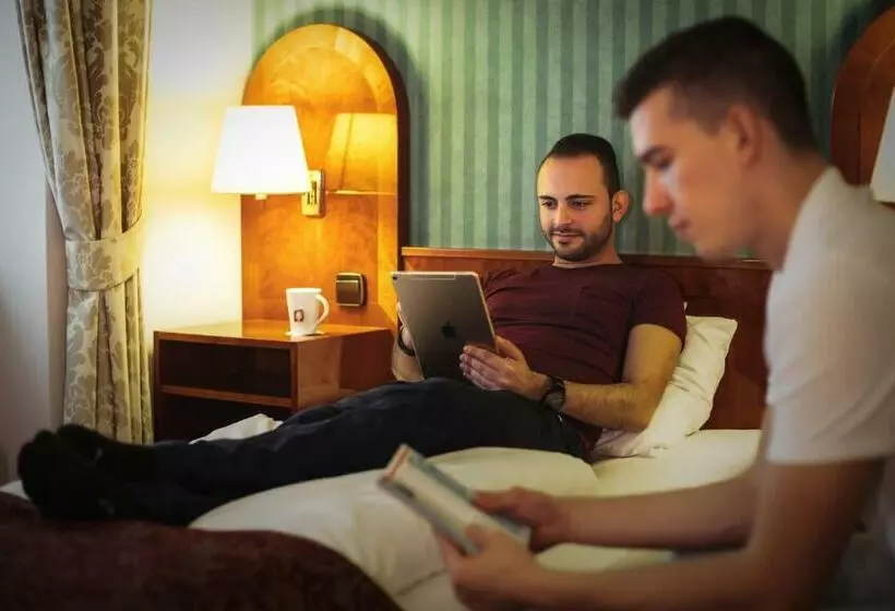 اتاق استاندارد, Mercure Grand Hotel Biedermeier Wien