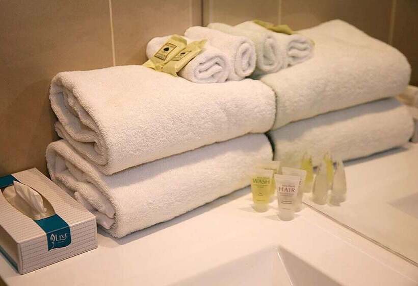 이그제큐티브 스위트, Footscray Motor Inn And Serviced Apartments