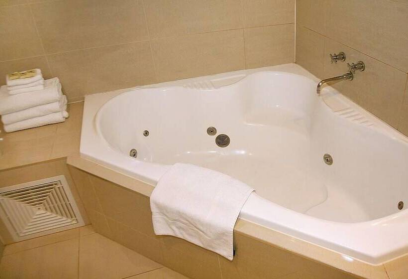 이그제큐티브 스위트, Footscray Motor Inn And Serviced Apartments