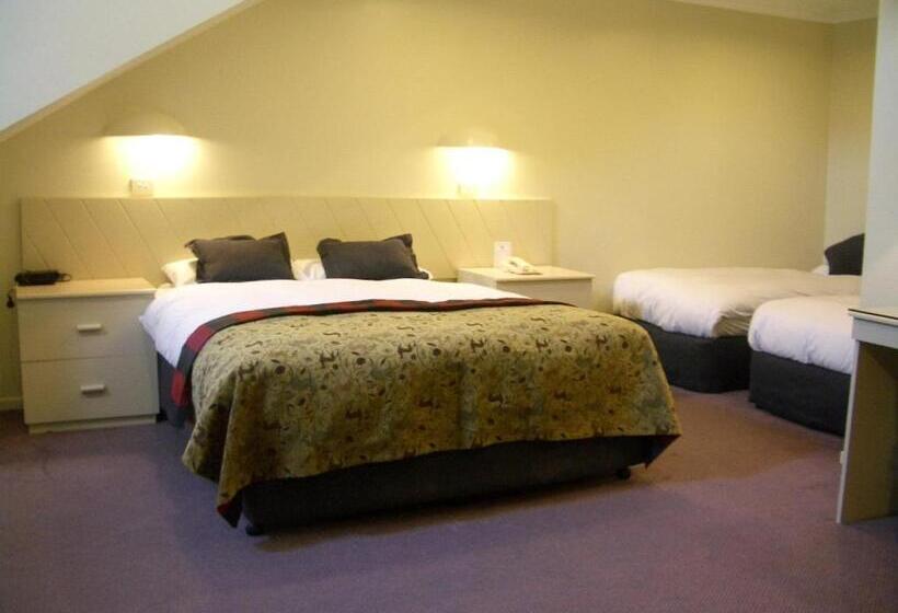 חדר סטנדרט עם נוף, Man From Snowy River