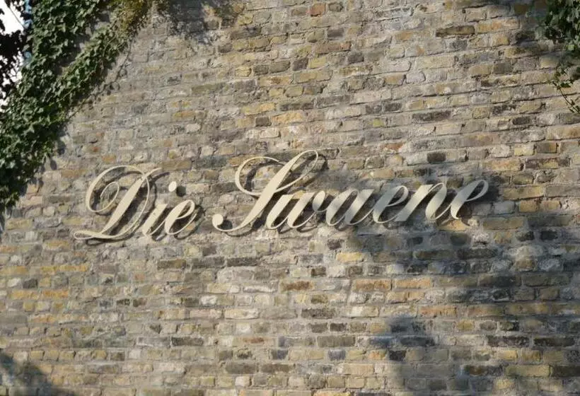 اتاق استاندارد یک نفره, Boutique Hotel Die Swaene