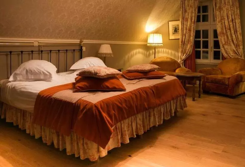اتاق سوپریور, Boutique Hotel Die Swaene