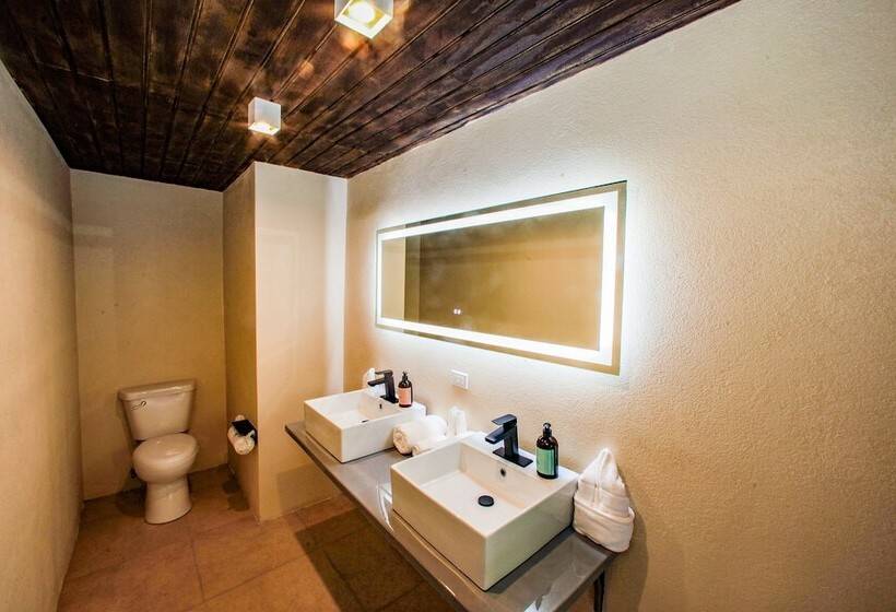 اتاق سوپریور با چشمانداز دریا, Hawksbill Resort Antigua All Inclusive