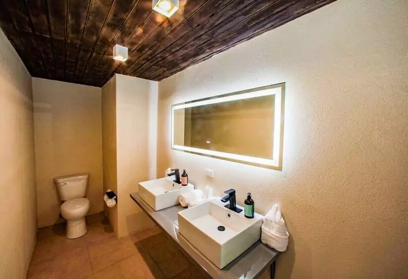 اتاق سوپریور با چشم‌انداز دریا, Hawksbill Resort Antigua   All Inclusive