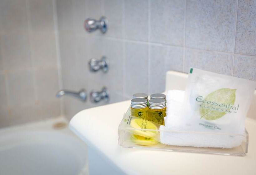 이그제큐티브 룸, Abcot Inn