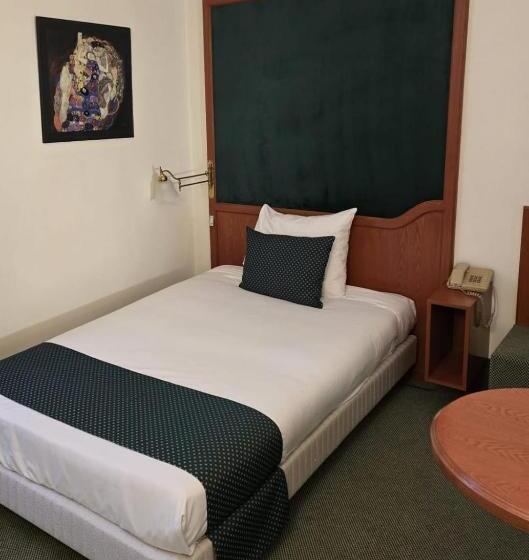 Standaard Éénpersoonskamer, Le Dome