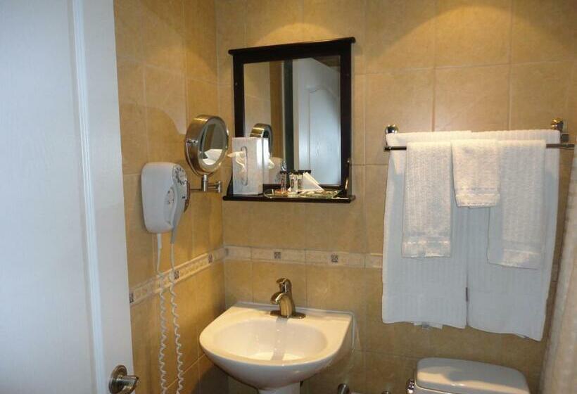 اتاق استاندارد با تخت بزرگ, Chateau Louis Hotel & Conference Centre