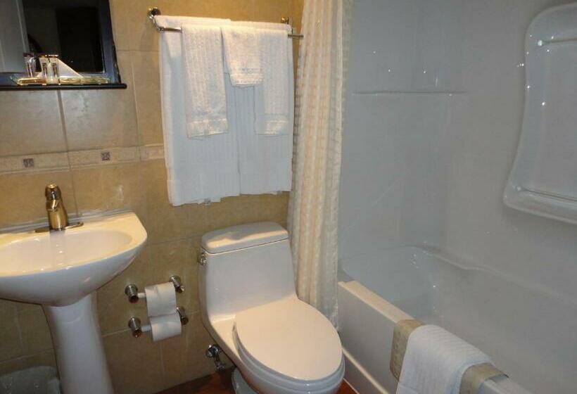 اتاق استاندارد با تخت بزرگ, Chateau Louis Hotel & Conference Centre