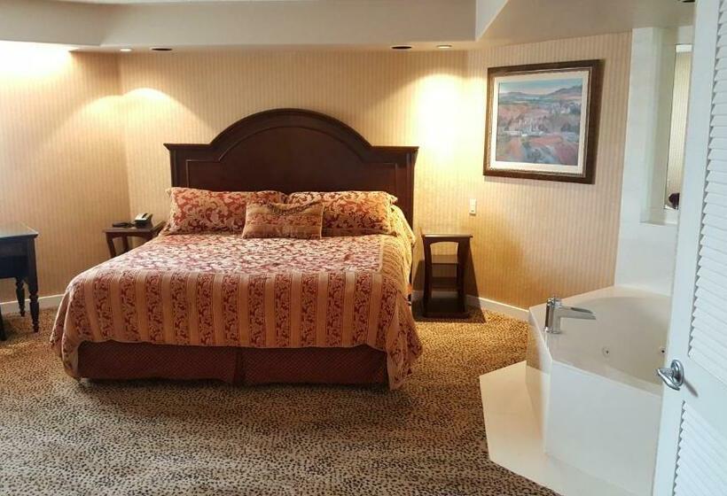 اتاق استاندارد با تخت بزرگ, Chateau Louis Hotel & Conference Centre