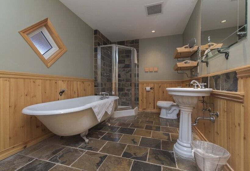 غرفة بريميوم, Buffalo Mountain Lodge