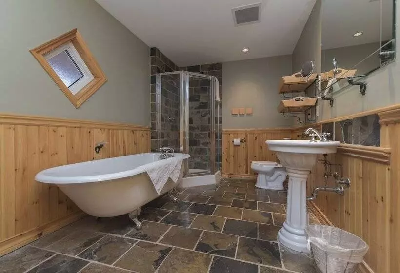 プレミアムルーム, Buffalo Mountain Lodge