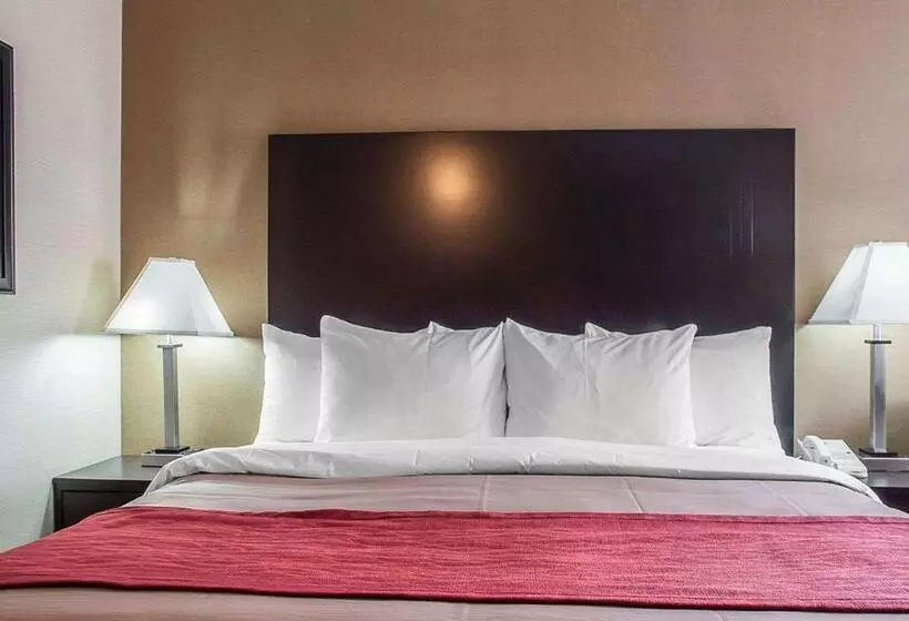スタンダードルーム, Comfort Inn