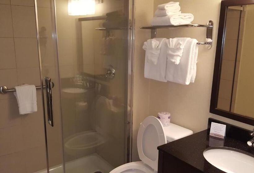 جناح إدارى سرير كينج, Comfort Inn