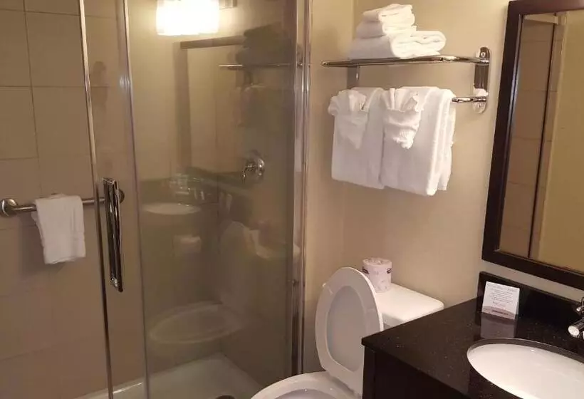 キングサイズベッドのエクゼクティブ, Comfort Inn