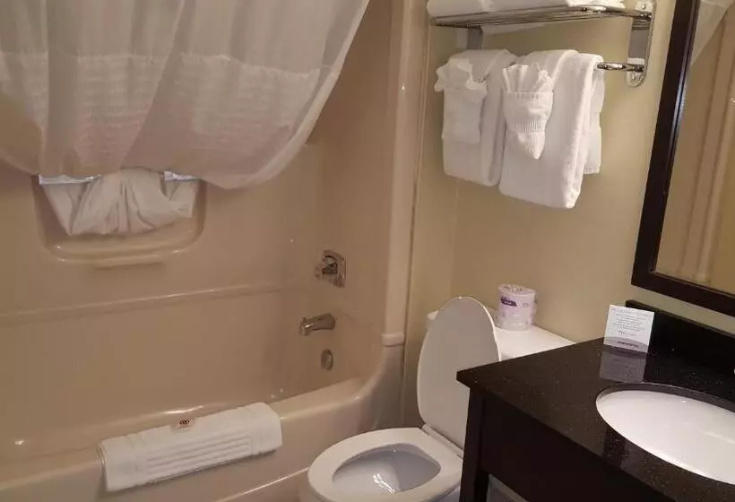 キングサイズベッドのスタンダードルーム, Comfort Inn