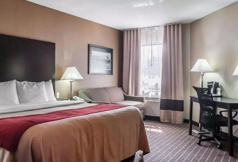 キングサイズベッドのスタンダードルーム, Comfort Inn