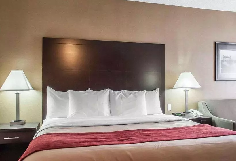 キングサイズベッドのスタンダードルーム, Comfort Inn