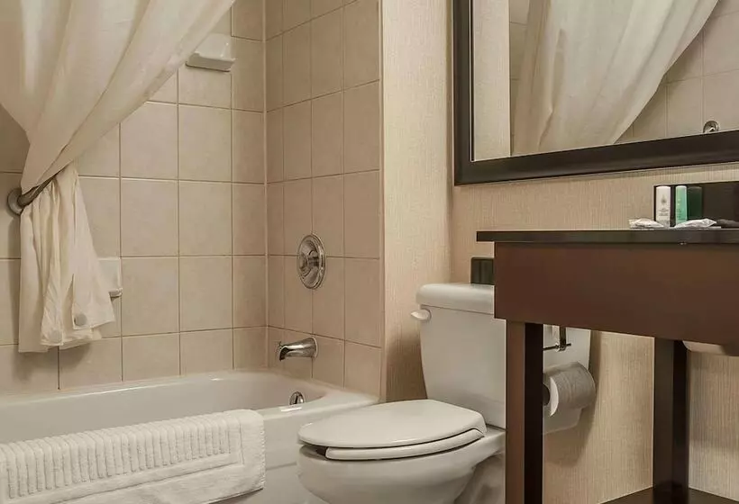 اتاق استاندارد با 2 تخت دوبل, Comfort Inn