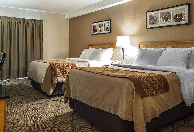Номер Стандарт 2 Двуспальные Кровати, Comfort Inn