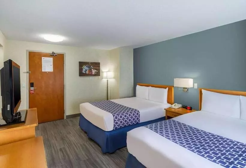 اتاق استاندارد, Econo Lodge Inn & Suites University
