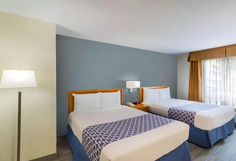 اتاق استاندارد, Econo Lodge Inn & Suites University