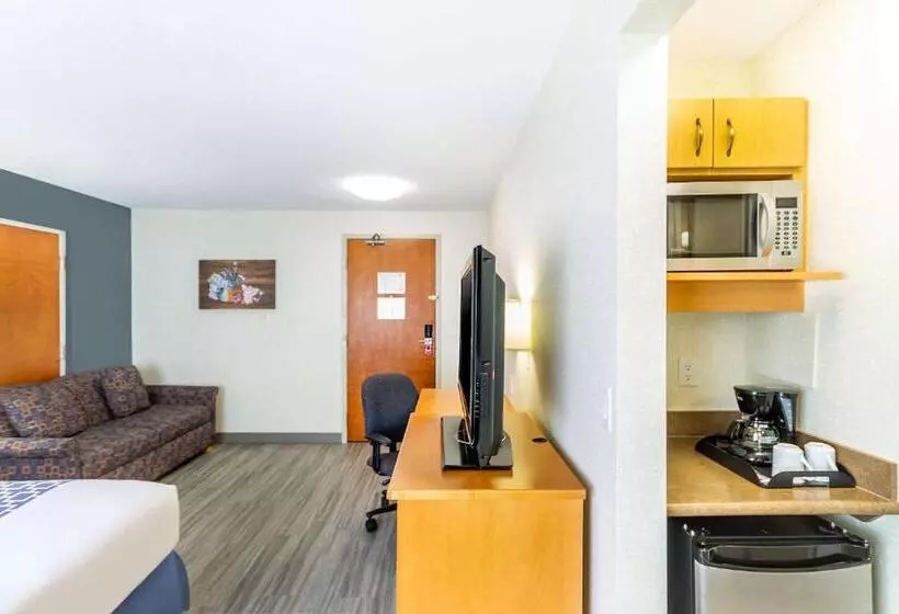 اتاق استاندارد با تخت بزرگ, Econo Lodge Inn & Suites University