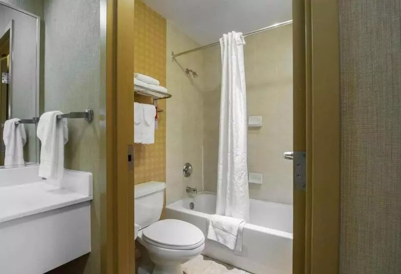 اتاق استاندارد با تخت بزرگ, Econo Lodge Inn & Suites University