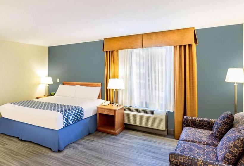 סוויטה, Econo Lodge Inn & Suites University