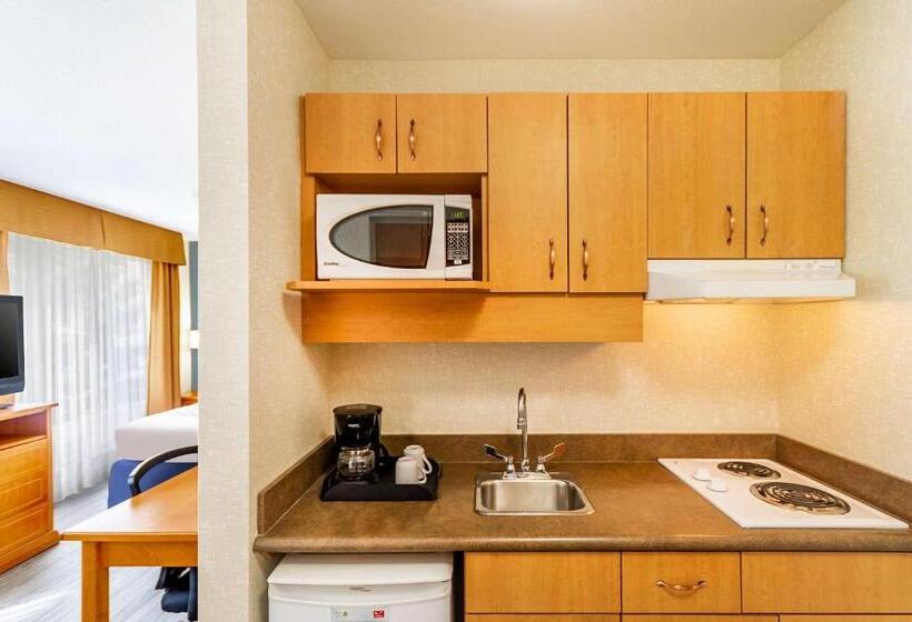 סוויטה, Econo Lodge Inn & Suites University