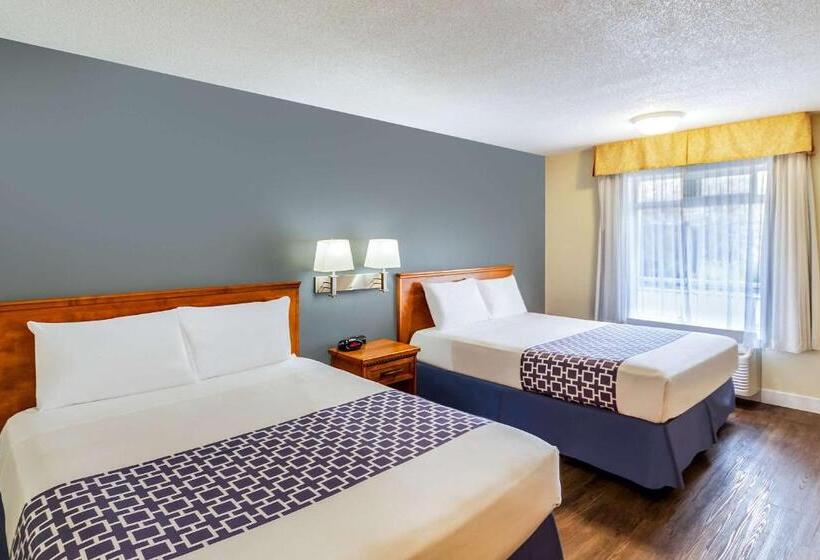 スタンダードルーム, Econo Lodge Inn & Suites University