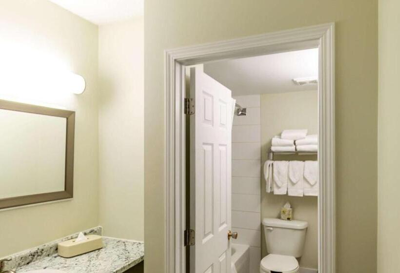 סוויטה, Econo Lodge Inn & Suites University