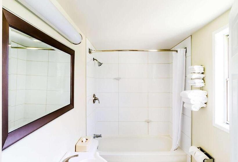 חדר סטנדרט עם מיטת קינג, Econo Lodge Inn & Suites University