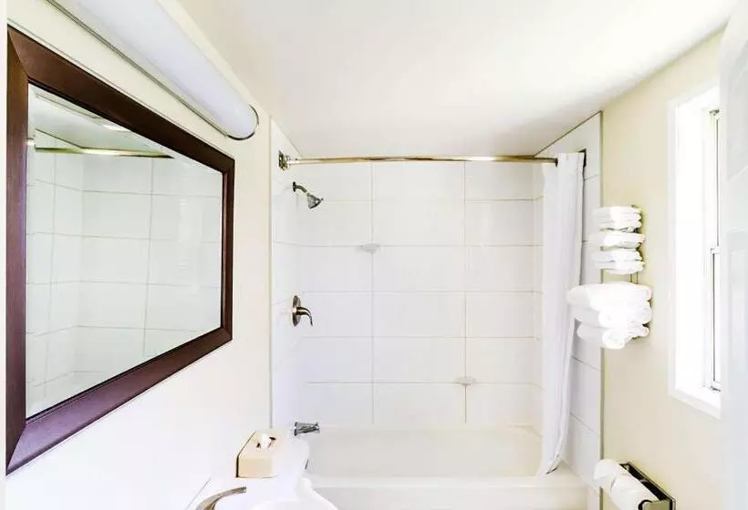 اتاق استاندارد با تخت بزرگ, Econo Lodge Inn & Suites University